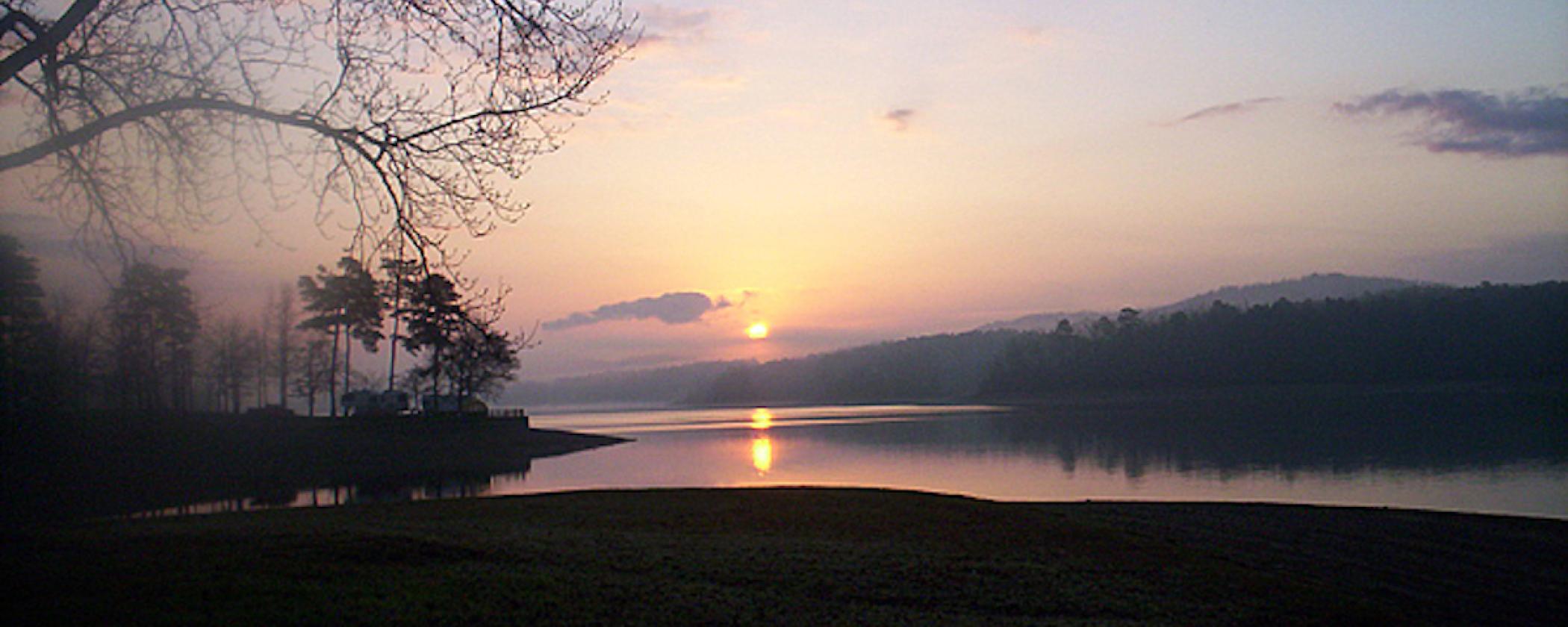 A Daisy of a Park! Arkansas State Parks